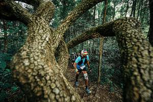 BIB: 
                            <button type="button" onclick="openModal(25393121)" class="btn btn-primary btn-sm float-right btn-popup" data-toggle="modal" data-target=".modal-high-quality">
                        <i class="fas fa-shopping-cart"></i> Add to Cart
                    </button>
                                            <button type="button" onclick="isThisMe(25393121, true)" class="btn btn-success btn-sm float-right btn-popup btn-isme hidden" data-toggle="tooltip" data-placement="bottom" title="นี่คือรูปของคุณใช่ไหม คลิกที่นี่เพื่อเอาเข้าอัลบั้ม">
                        <i class="fas fa-plus"></i> Add to album
                    </button>
                    <button type="button" onclick="isThisMe(25393121, false)" class="btn btn-warning btn-sm float-right btn-popup btn-isnotme hidden">
                        <i class="fas fa-ban"></i> Remove from album
                    </button>